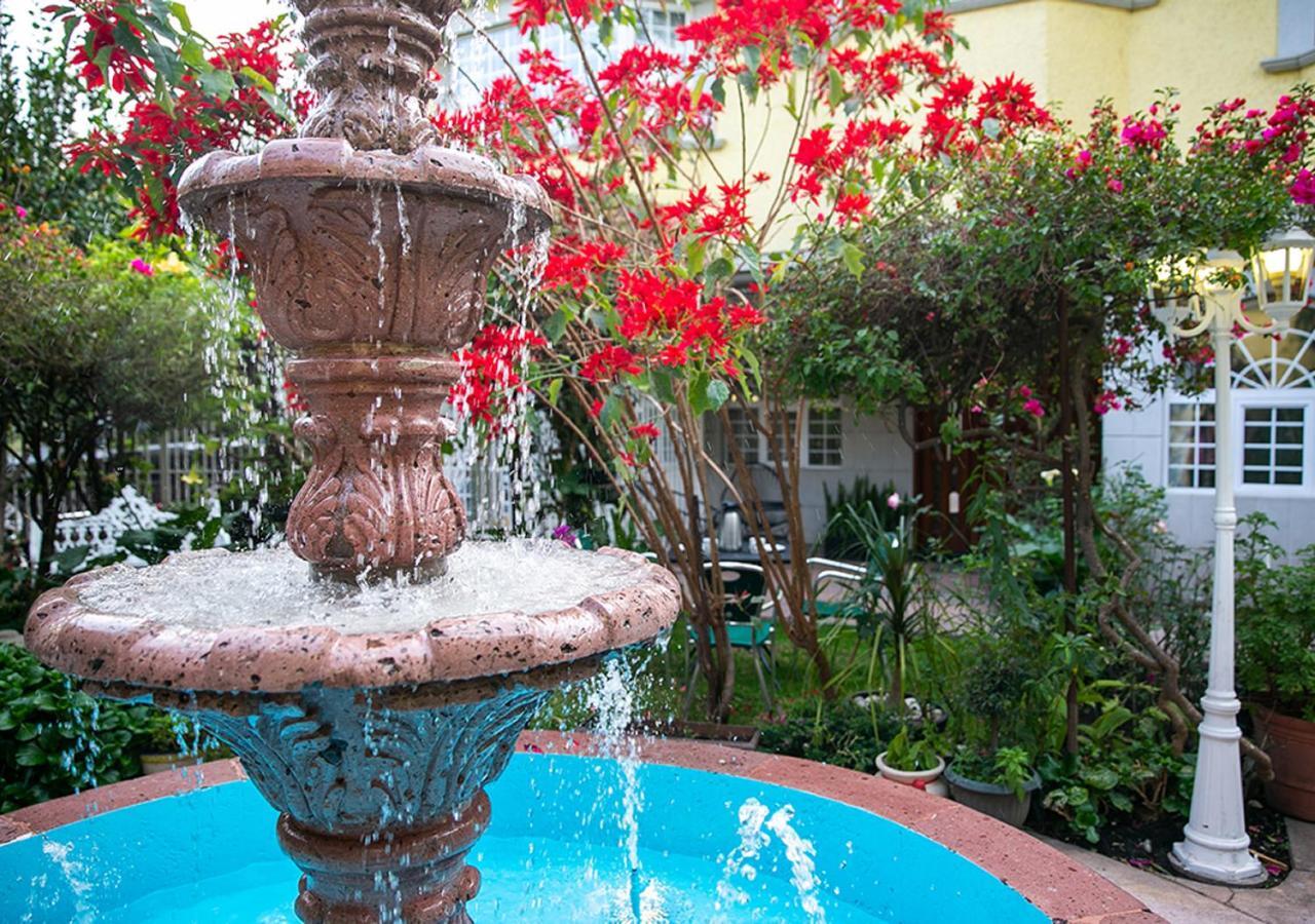 Bed and Breakfast Casa San Pedro à Mexico Extérieur photo