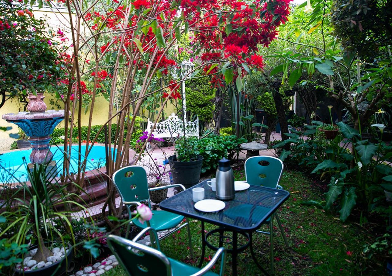 Bed and Breakfast Casa San Pedro à Mexico Extérieur photo